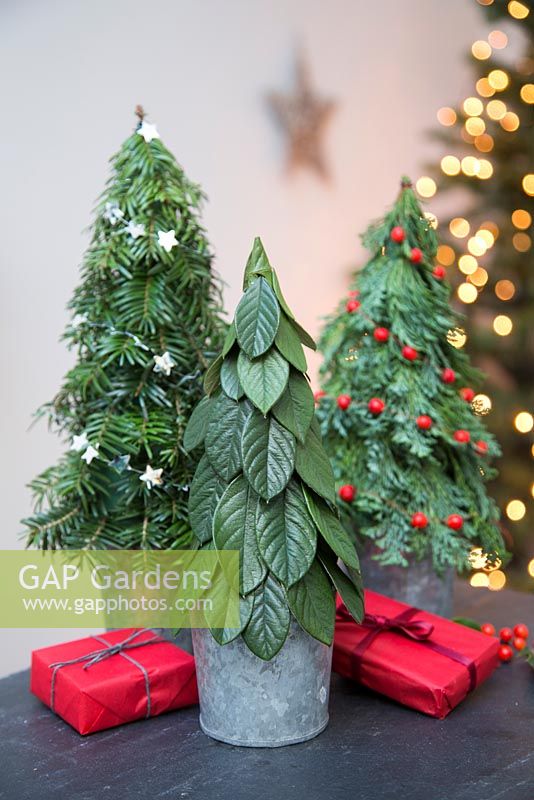 Variety of trees with different decorations and small red presents