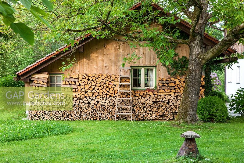 Large wooden garden shed with piled logs and ladder next to walnut tree
