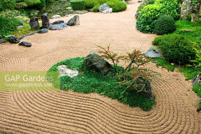 The zen meditation gravel garden with rocks, raked gravel, turtle island with Cotoneaster horizontalis
