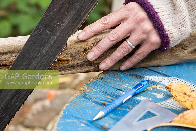 Sawing driftwood to shape. 