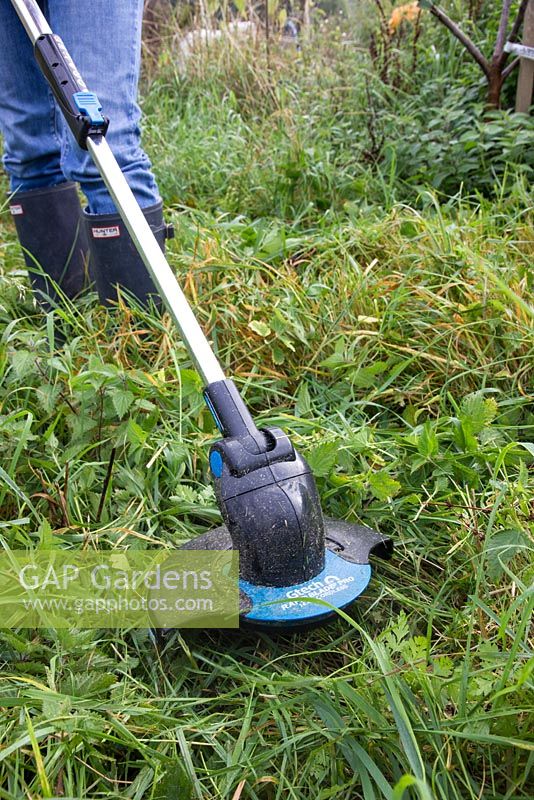 Using a GTech battery operated strimmer to cut orchard weeds