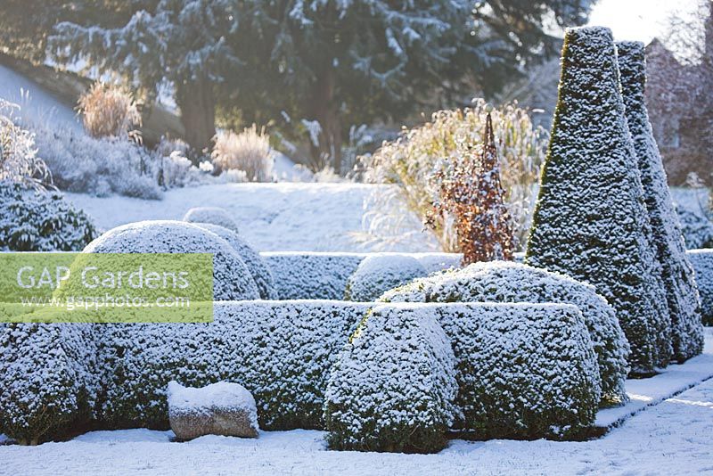 Parterre covered in snow, winter. Clipped topiary shapes in Box and Yew.  Sculpture in stone by Briony Lawson. 