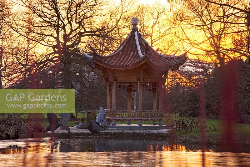 Evening view of Seven Acres across the lake to the Chinese pagoda. RHS garden Wisley. January, winter 