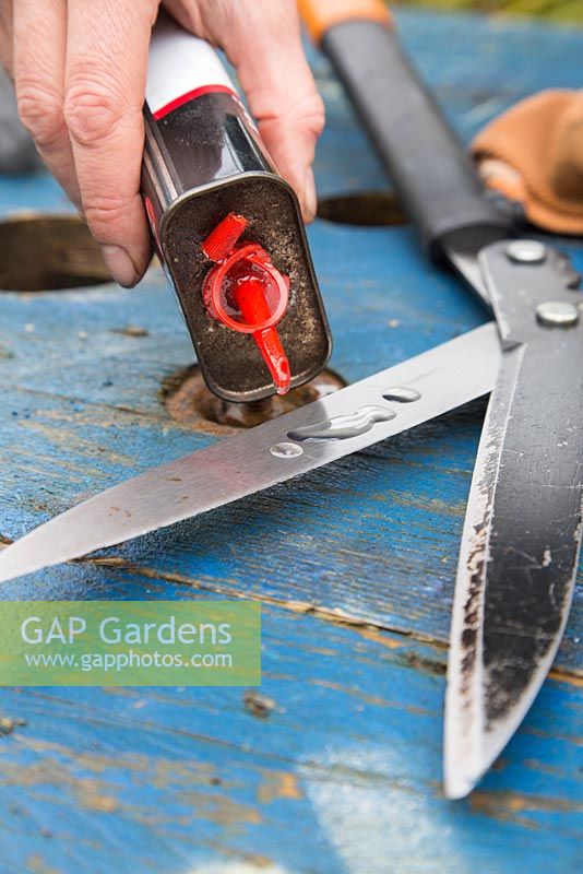 Applying oil to the shears blades for protection