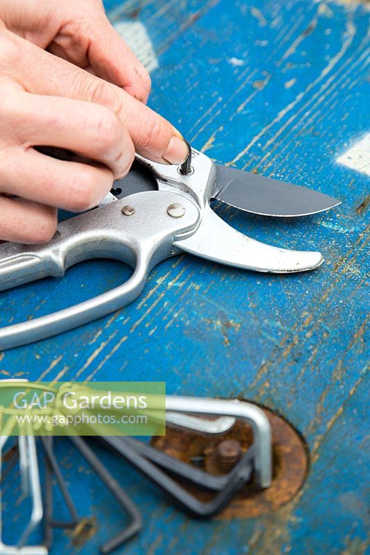 Tightening and adjusting joints of Ratchet Secateurs using an allen key