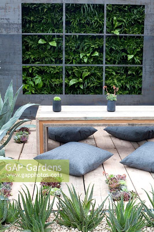 Outdoor living area with vertical planting and drought tolerant plants - 'The Austerity Garden' 