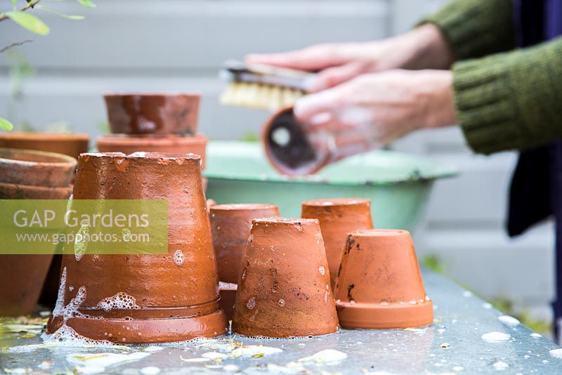 Cleaning terracotta pots in metallic bowl of bubbly water