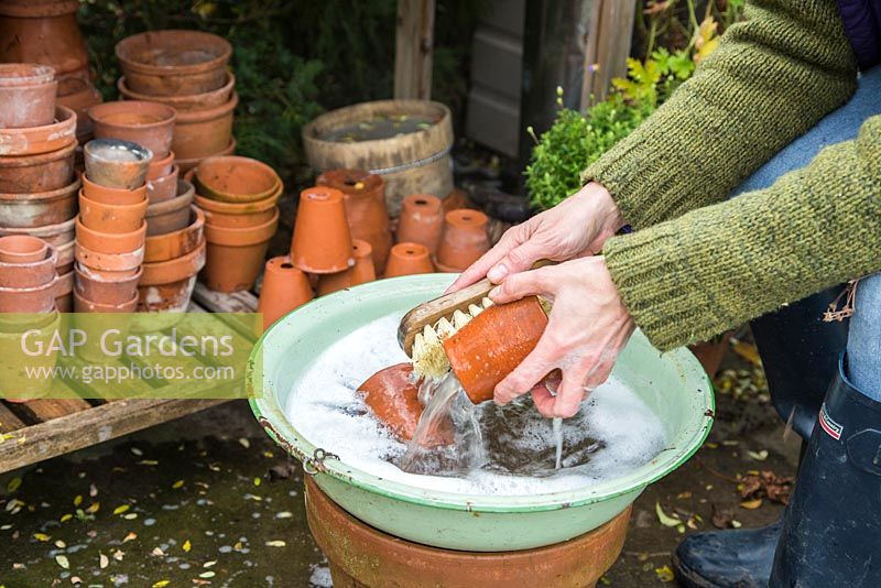 Cleaning terracotta pots in metallic bowl of bubbly water