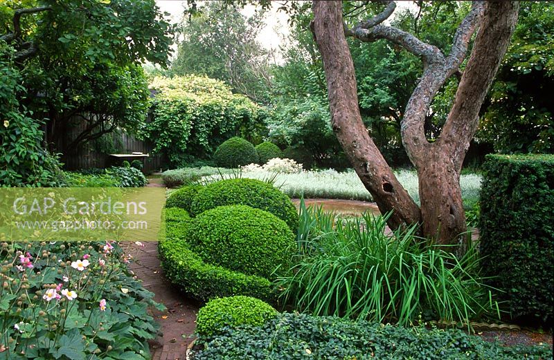 View from the main entrance with Buxus sempervirens and Anemone x hybrida 'Honorine Jobert' to the left. The garden of Swedish garden designer and editor Ulla Molin 1909-1997 in Hoganas, Sweden, in 2005.  