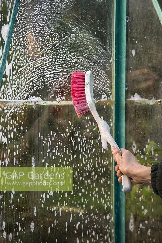 Woman using soapy water and a brush to clean greenhouse windows