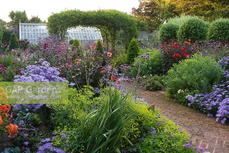 Central brick path in the walled garden is framed by asters, dahlias, euphorbia, Verbena bonariensis and clipped bay pyramids and runs underneath a central rose arch clothed with Rosa banksiae.