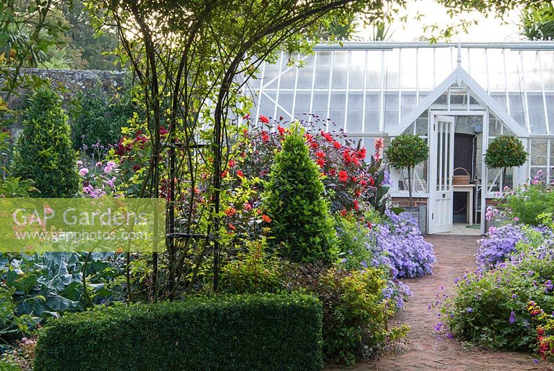 Central brick path in the walled garden passes beneath a central rose arch clothed with Rosa banksiae, and is edged with asters, dahlias, euphorbia and clipped bay pyramids as it leads toward the Alitex greenhouse. 