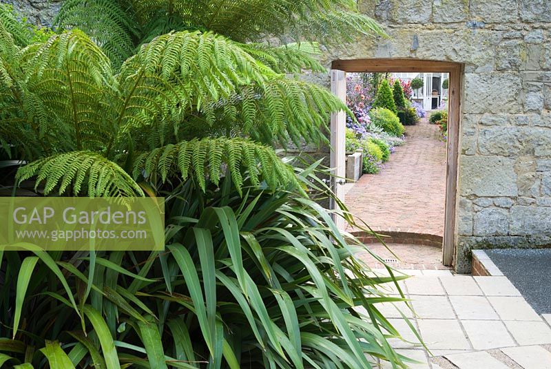 A glimpse of exuberant planting inside the walled garden is seen through the doorway that leads in from the contemporary courtyard framed by cool green of tree ferns and phormiums. 