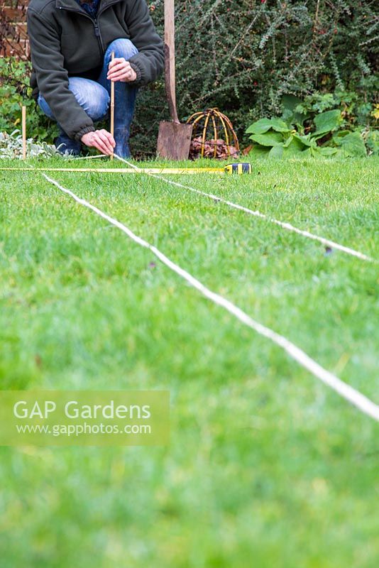 Measuring distances and aligning rope for digging trench