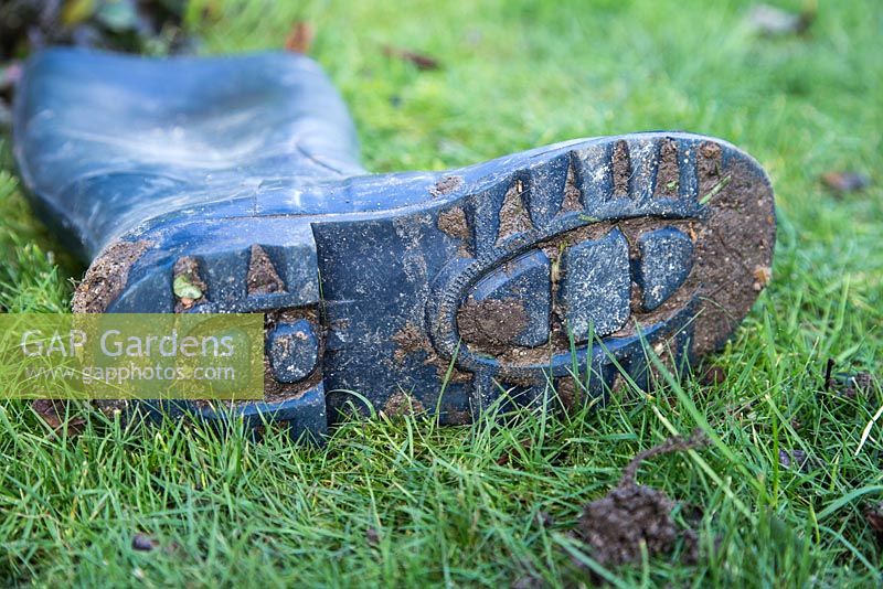 Dirty welly covered in mud, laying on grass lawn