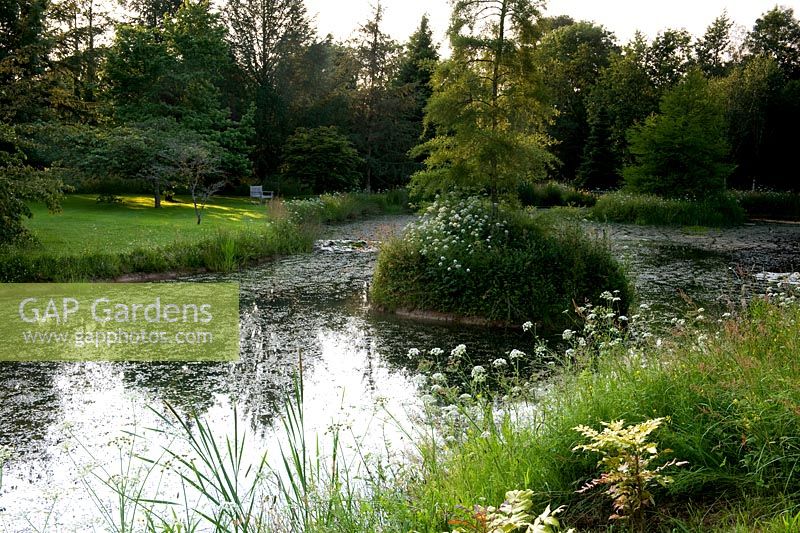 Cothay Manor, Greenham, Somerset. Two small islands in lake 