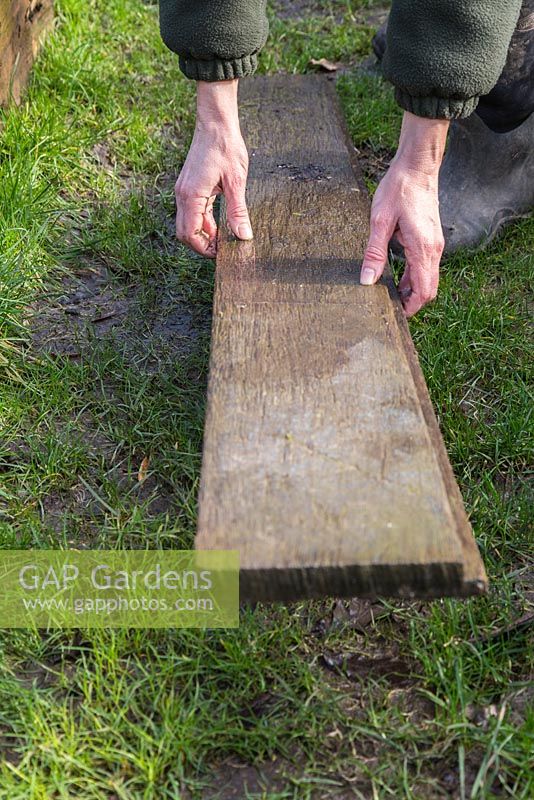 Laying a plank to walk across a sodden lawn, preventing damage to lawn.