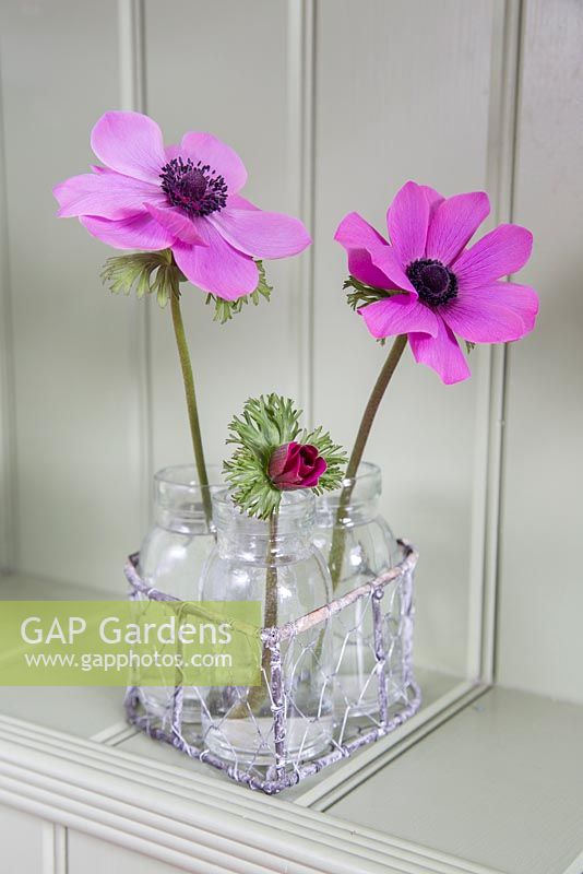 Floral arrangement of Anemone 'Harmony Orchid' in heart shaped container