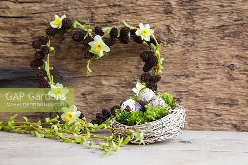 Birds nest planted with moss and Quail eggs with Weeping willow foliage in foreground. Narcissus and Alnus wreath in background.