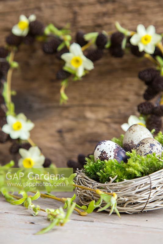 Birds nest planted with moss and Quail eggs with Weeping willow foliage in foreground. Narcissus and Alnus wreath in background.