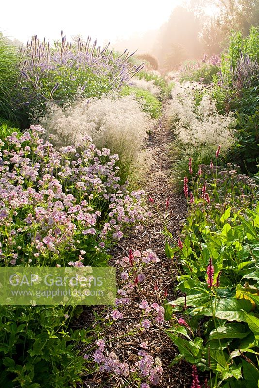 Pathway through summer borders. Deschampsia cespitosa 'Tardiflora', Monarda 'On Parade', Veronicastrum virginicum 'Temptation', Astrantia  major 'Buckland', Persicaria amplexicaulis 'Rosea', Sedum,. Veronicastrum virginicum 'Fascination'