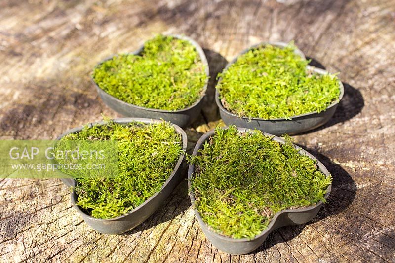 Heart shaped containers planted with moss, positioned in shape of a clover