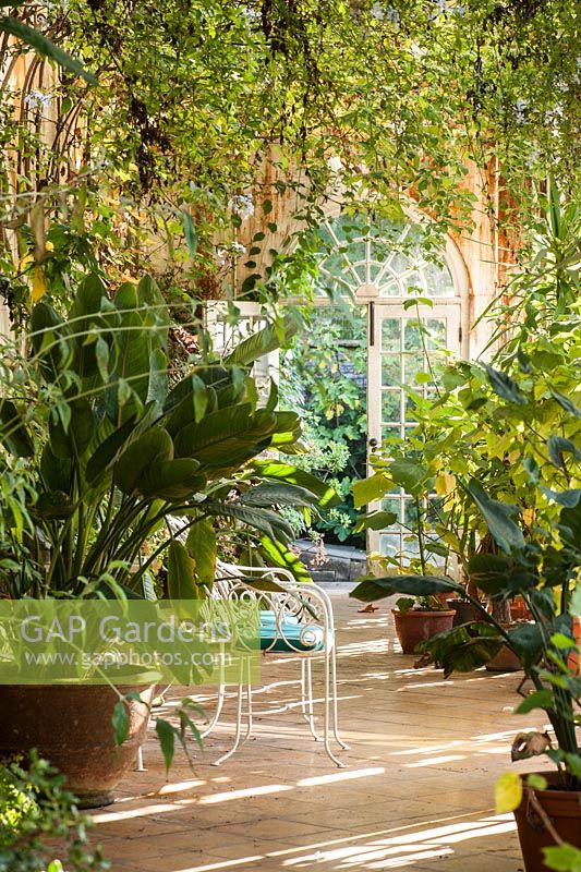 Inside the Orangery, built in 1968, at the end of the Fountain Court. Mapperton House, Beaminster, Dorset, UK