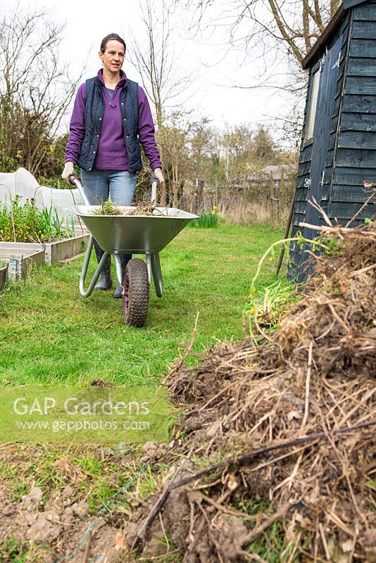 Woman pushing wheelbarrow of waste towards a compost heap