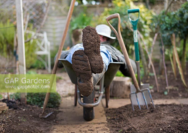 Gardener resting in a wheelbarrow after digging the vegetable garden
