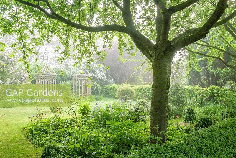 Misty garden in May with formal timber pergolas. Hardwicke House, Fen Ditton