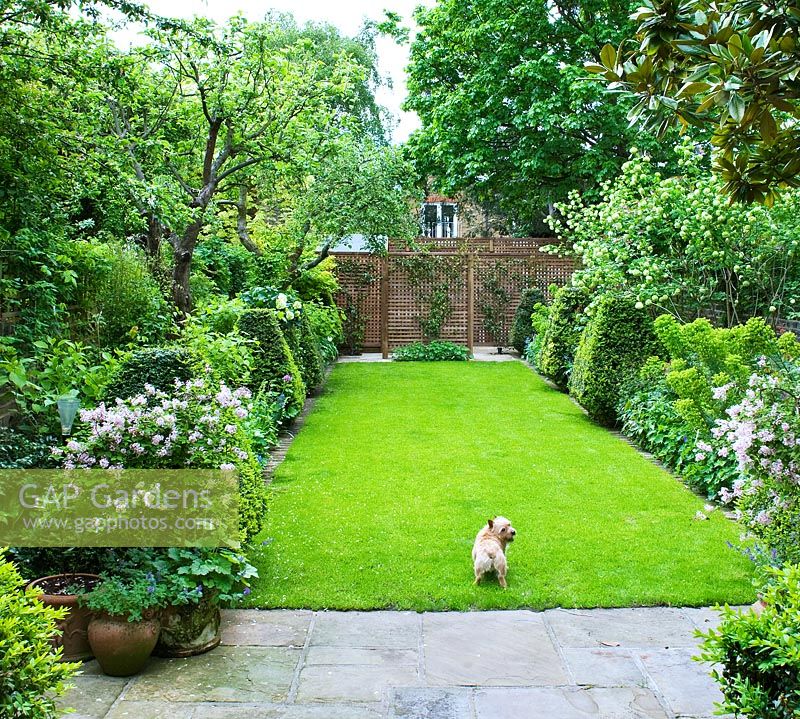 Town garden with lawn and green borders