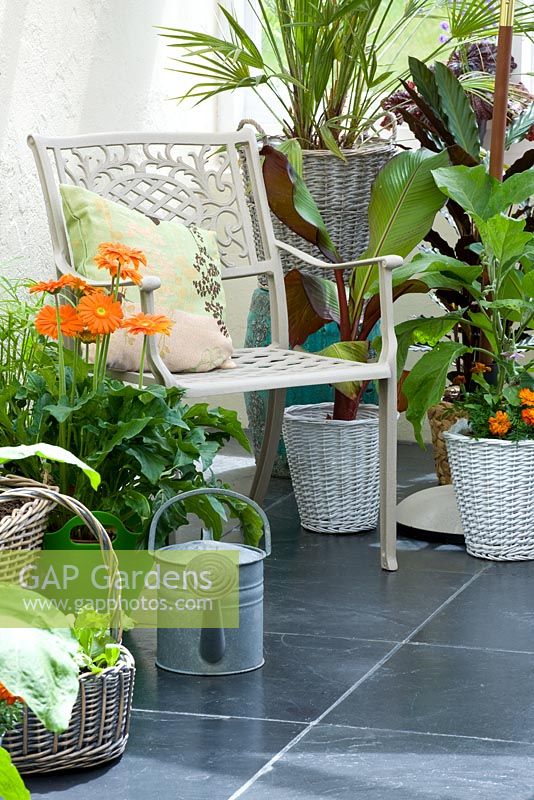 Conservatory with metal chair and various containers planted with herbs and gerberas