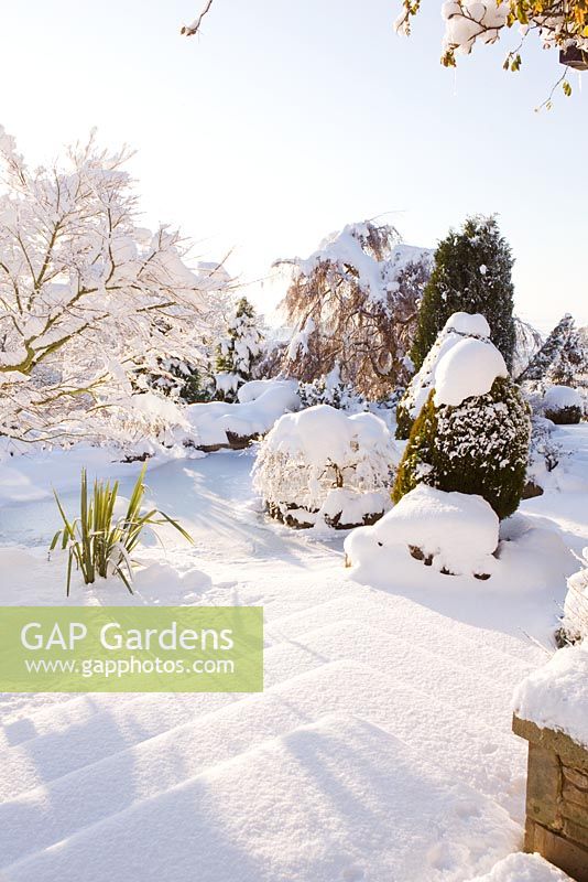 Snow covered garden