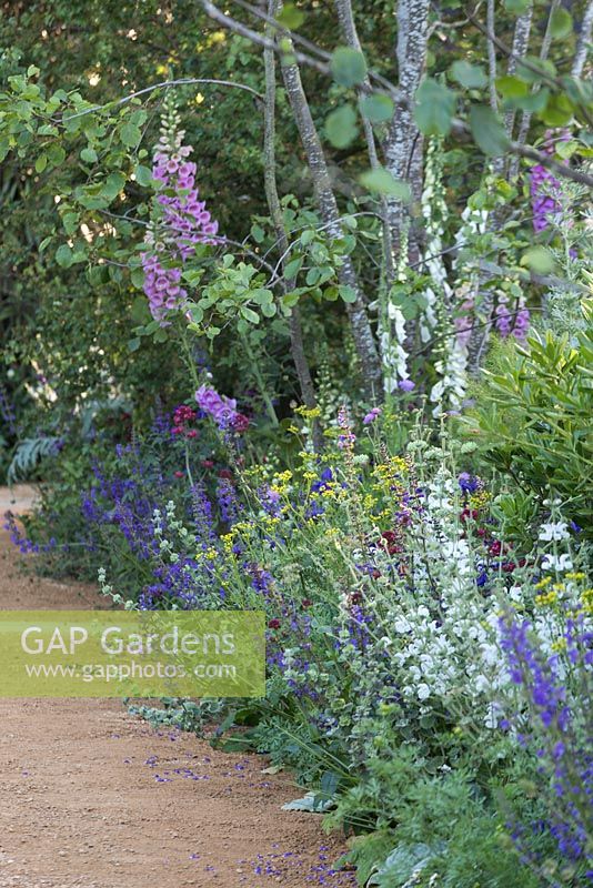Informal border with pastel shades. RHS Chelsea Flower Show 2014. The BrandAlley Garden