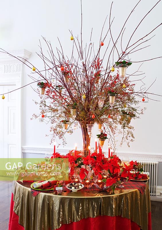 Poinsettia 'Christmas feelings red' and miniature poinsettia 'Sarunus red' - Red abd gold Christmas table decorations 