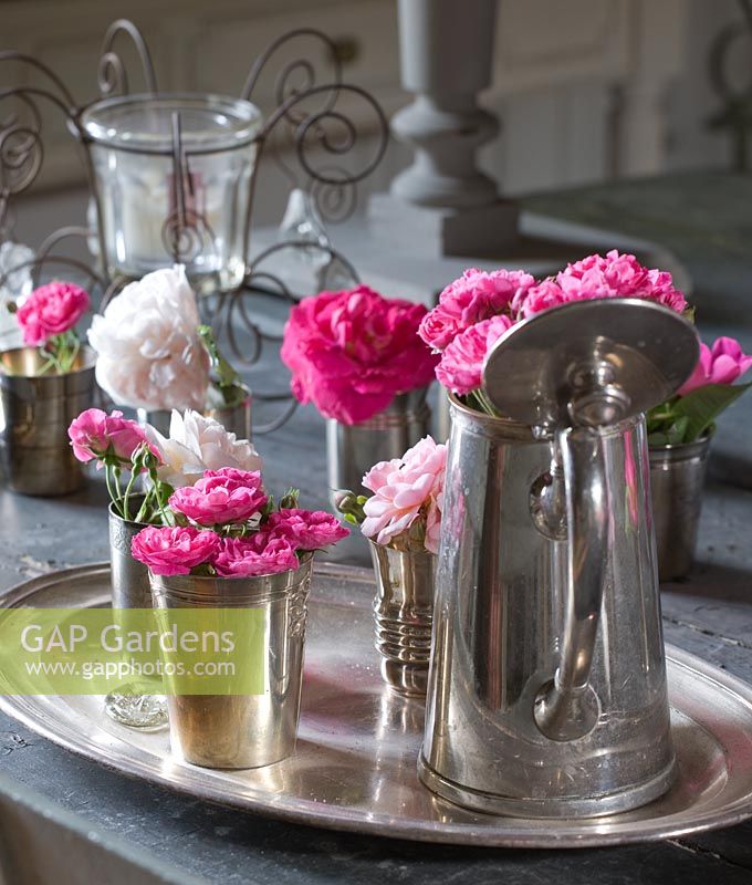 Tray of roses in silverware - Rosa 'Gruss an Aachen, 'Belle de Remalard', 'Felicia', 'Henri Martin' and 'Complicata'. Les Jardins de Roquelin, Loire Valley, France