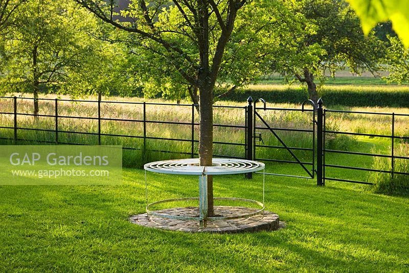 Metal tree seat on lawn with the meadow behind. Gipsy House, Buckinghamshire 
