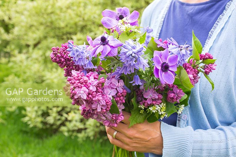 Woman holding bouquet of flowers. Syringa vulgaris, Anemone coronaria, Hyacinthoides non-scripta, Lunaria annua alba 'White Honesty'