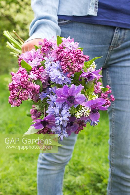 Woman carrying bouquet of flowers. Syringa vulgaris, Anemone coronaria, Hyacinthoides non-scripta, Lunaria annua alba 'White Honesty'