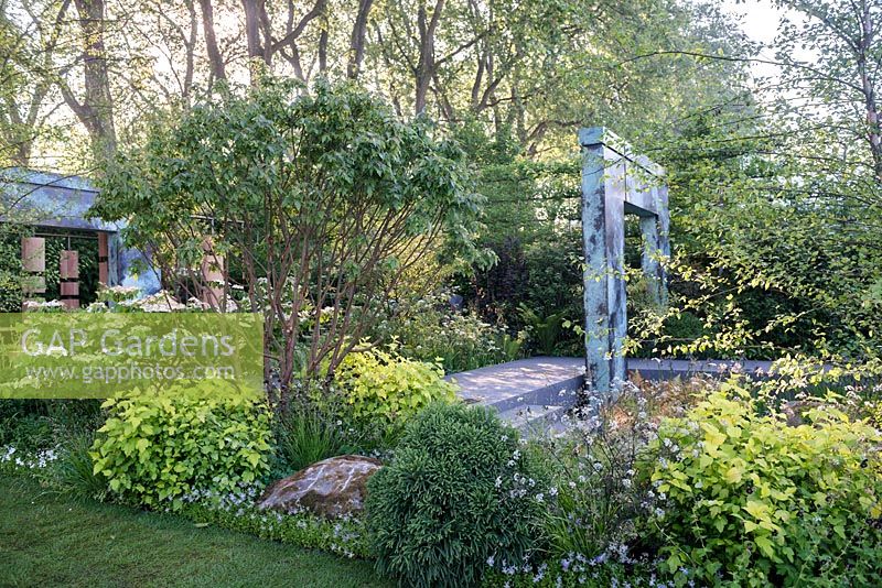 View of patinated copper archways surrounded by Acer griseum, Betula nigra, Liquidambar styraciflua 'Worplesdon'. RHS Chelsea flower show 2014 - The Brewin Dolphin Garden, awarded silver gilt