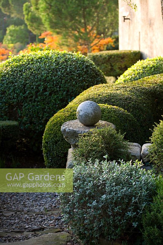 Gravel terrace and clipped topiary shapes at down - Rhus Typhina - Stags Horn Sumach in background 