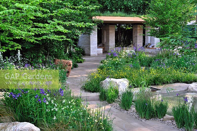 The Homebase Garden. RHS Chelsea Flower Show 2014. Stone path leading to Contemporary Pavillion with living roof. Iris sibirica, trollius and Aqulegia. 