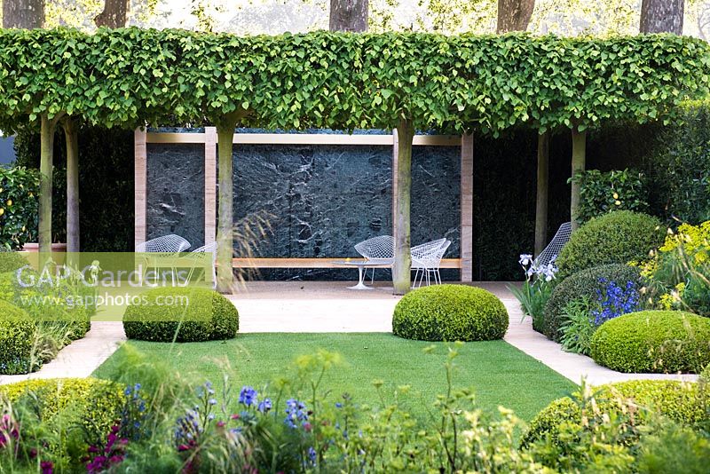 The Telegraph Garden, RHS Chelsea Flower Show 2014, gold medal winner. View of the patio with white modern metal chairs among trees Tilia x europaea 'Pallida', hedges Laurus nobilis,  Iris germanica and topiary Buxus sempervirens, Gladiolus italicus byzantinus, Stipa gigantea.