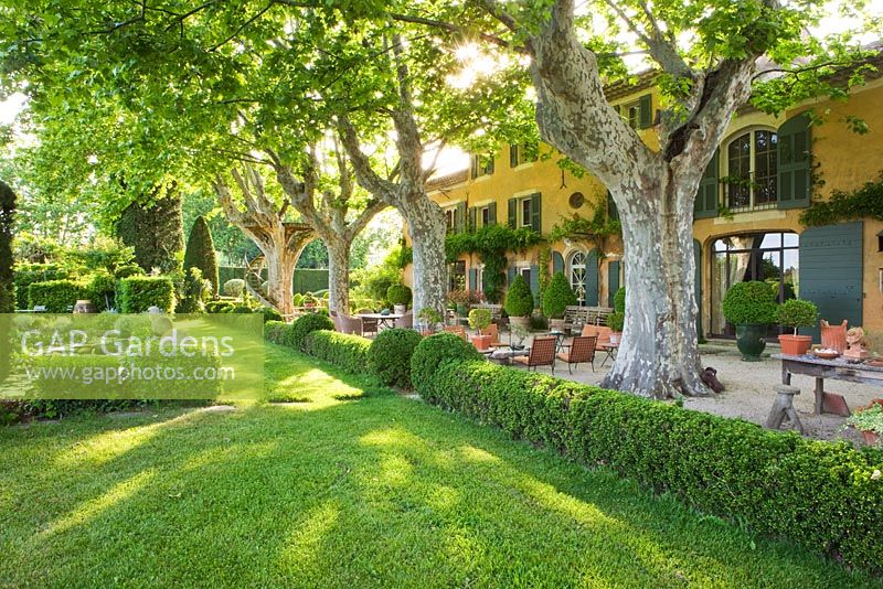 The house with plane trees, table and chairs on gravel terrace and hedging. Les Confines, Provence, France