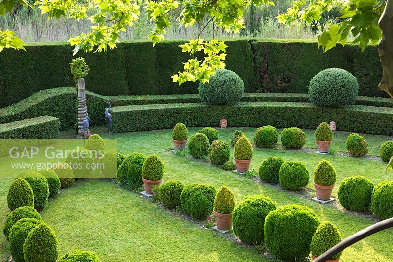 Formal garden of clipped evergreens in lawn beside one end of the house. Les Confines, Provence, France