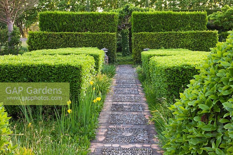 Pebble path between clipped hedges 
