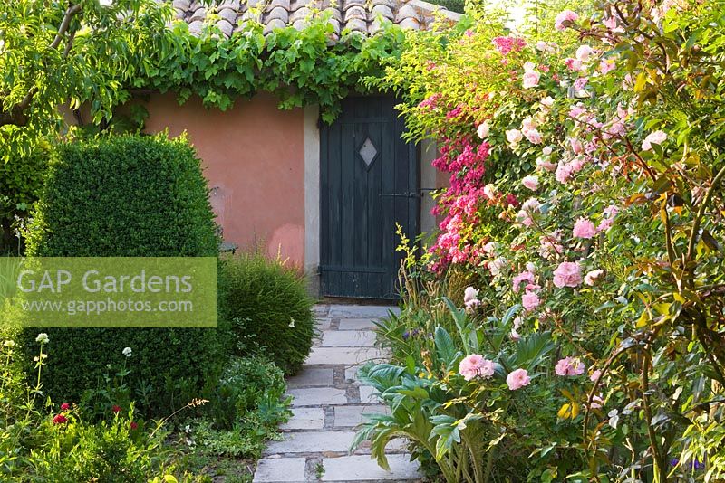 Pathway with roses, topiary and doorway 