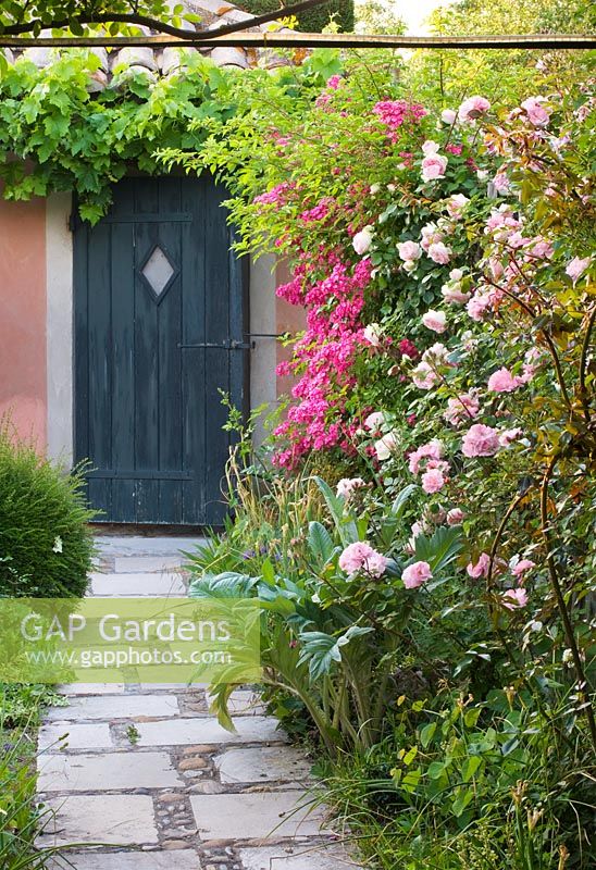 Path with roses and doorway. Les Confines, Provence, France