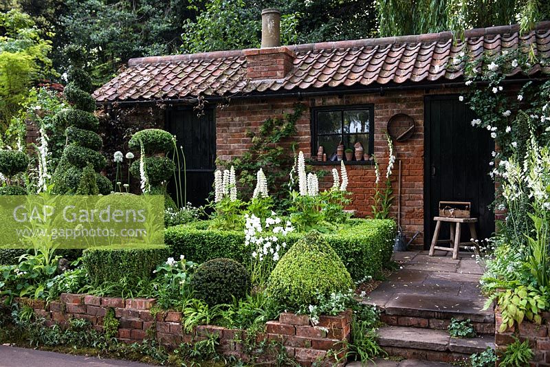 The Topiarist's Garden. View of a brick house surrounded by clipped topiary:  Buxus sempervirens  and Taxus and white flowers, Campanula persicifolia, Lupinus and Roses. 