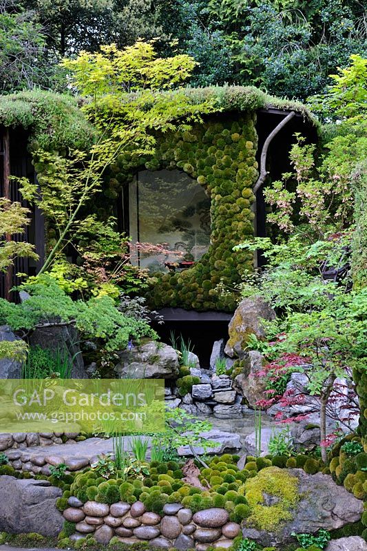 Japanese Garden with Tea house, moongate wall covered in moss and water feature. Togenkyo - A Paradise on Earth. RHS Chelsea Flower Show 2014